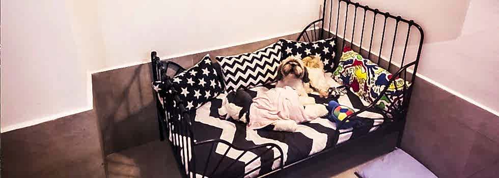 Konforlu ve eksiksiz dizayn